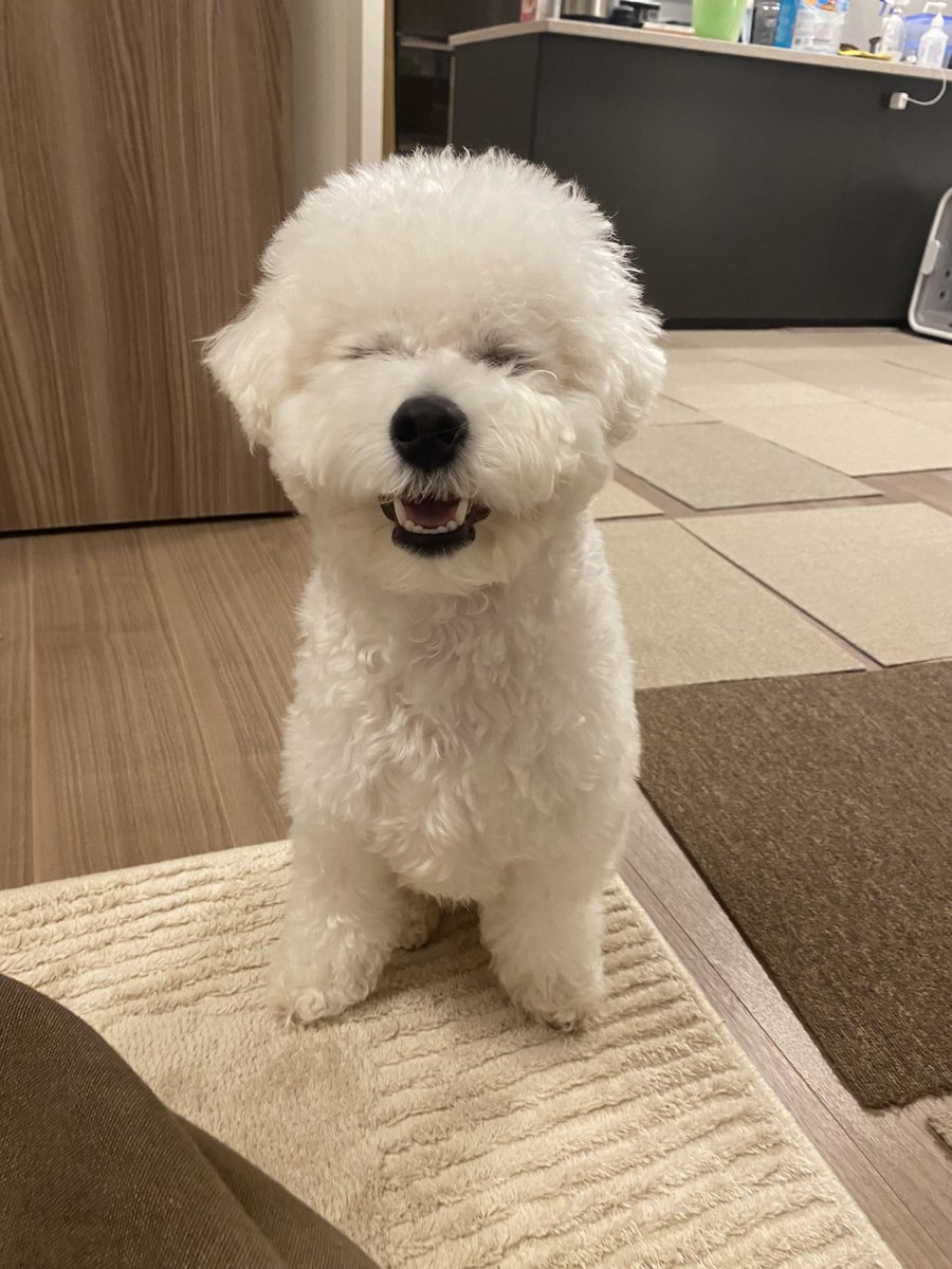 満悦