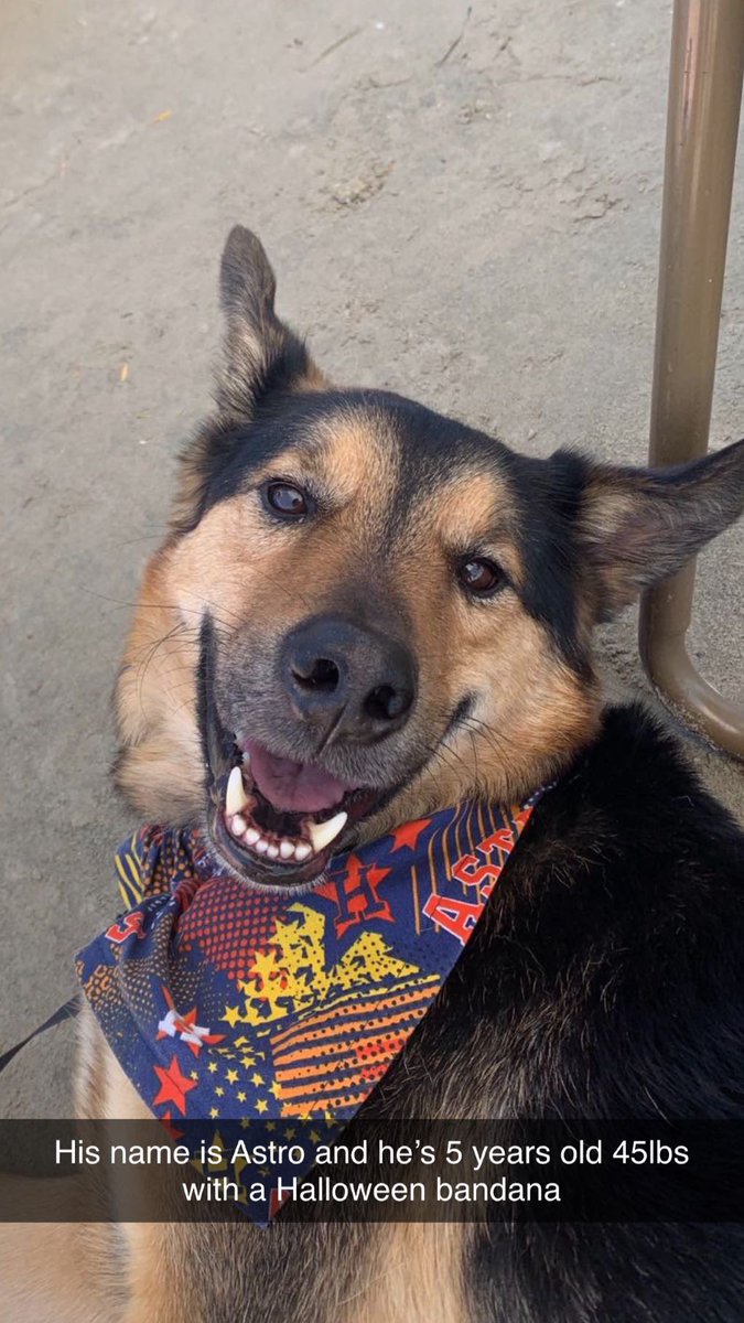 Someone broke into my apartment and took my Astro. Please share &amp;  help me get my sweet baby back.. $500 reward