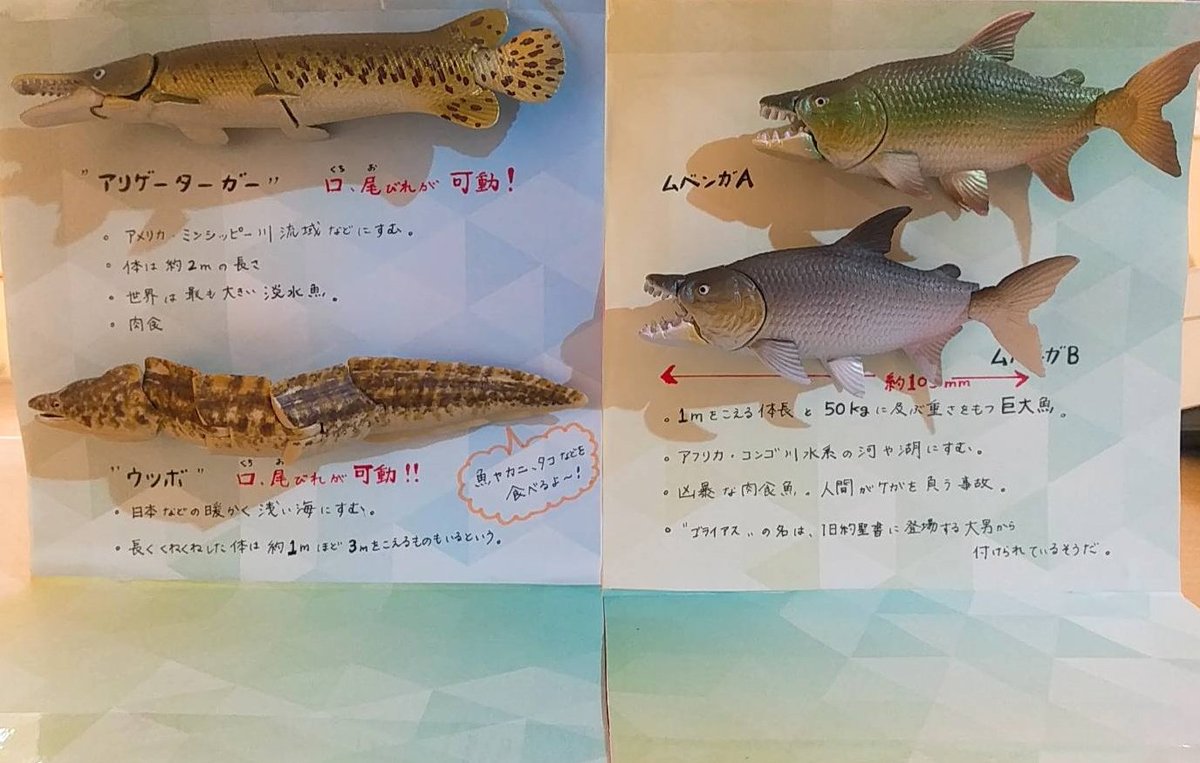 ✨☺好評発売中☺✨ ✳️あそべる生物フィギュアシリーズ 世界釣大戦