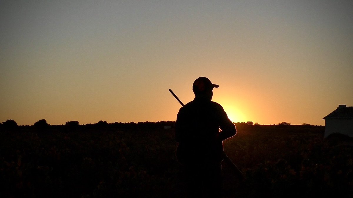 El final de una jornada de caza es solo el principio de la siguiente, ánimo que el miércoles es festivo 
#caza #hunting #Hunter