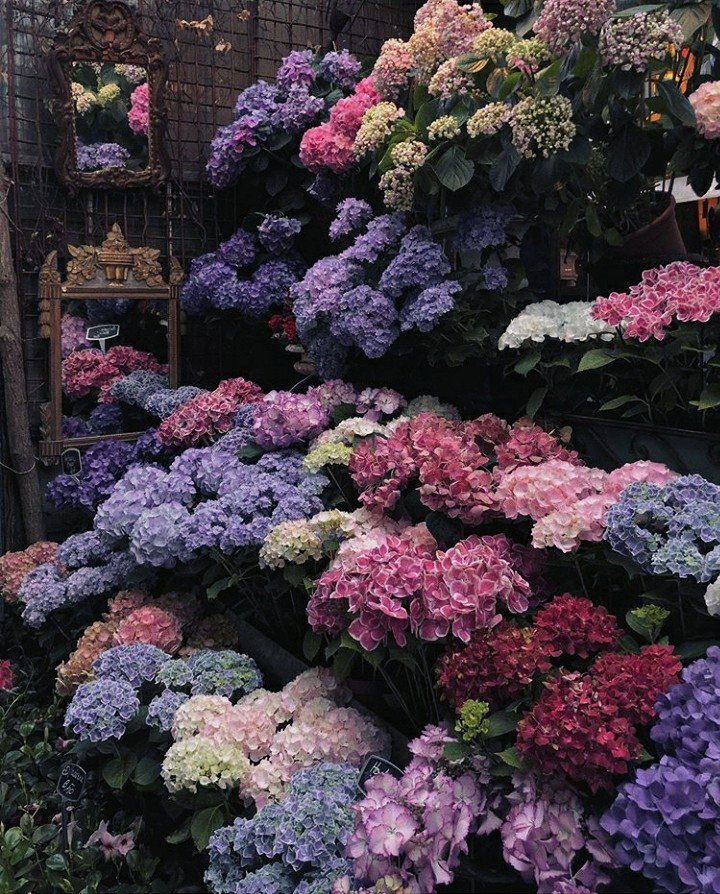 ''Adının ne kadar güzel olduğunu ancak sevdiğinin ağzından duyduğunda anlarsın.''
•Cemal Süreya