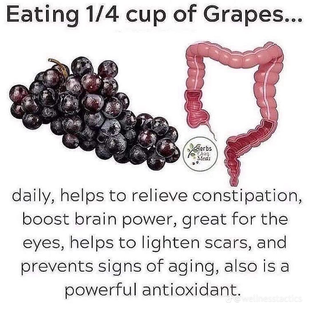 Beautiful view of Home Remedies For Concord Grape Choking