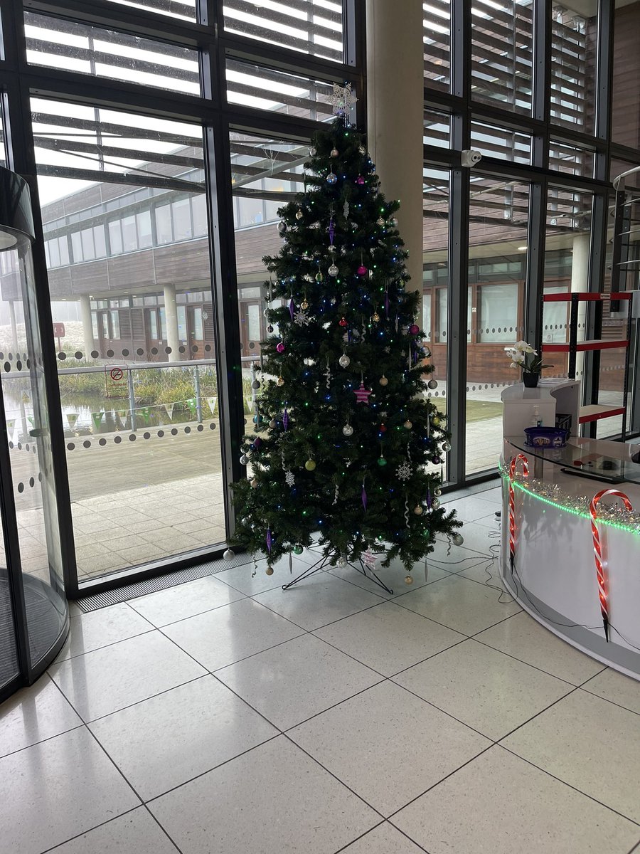 lukedavisld's tweet photo. It’s beginning to look a lot like Christmas at the office 🎄🎅 https://t.co/7wjvoPkklh