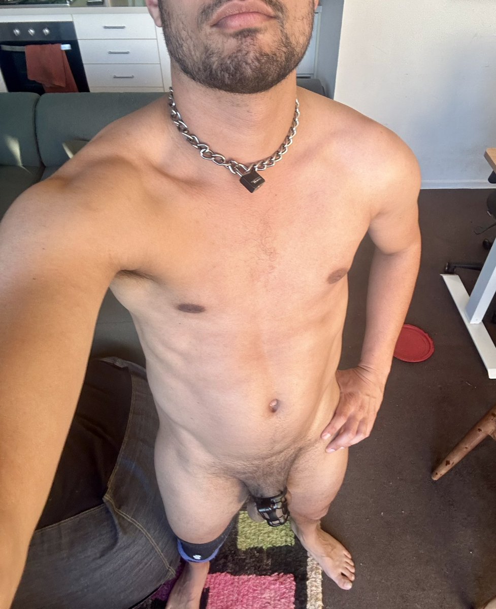 Pup Amber tweet media