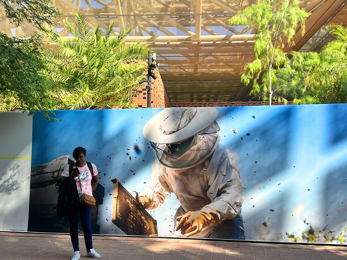 We have arrived at the South African pavilion as the science communications partner to OGRC. We’ll be posting updates and insights here over the next few days.
#COP28UAE #OppgenCOP28 #NBICOP28 #UniteActDeliver #KeepJiving #WeNeedToTalk