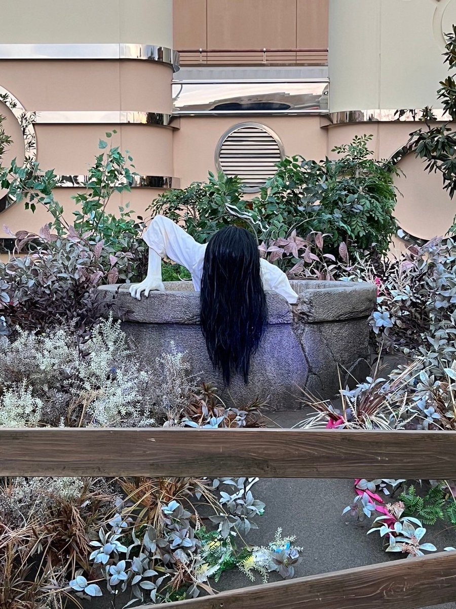 asnhykrm's tweet photo. 先週は地元の子が来てくれて久々にユニバ🌍
天気も良くて平日だから人も少なくて最高だったな💫

パレードちゃんと見たの初めてかも🤭
クリスマスツリーも写真では伝わらないくらい綺麗だった🎄

地元の友達はほぼ地元に居るからもっと会いに行きたいなと思った日☺️ https://t.co/qVsiE4ac3C