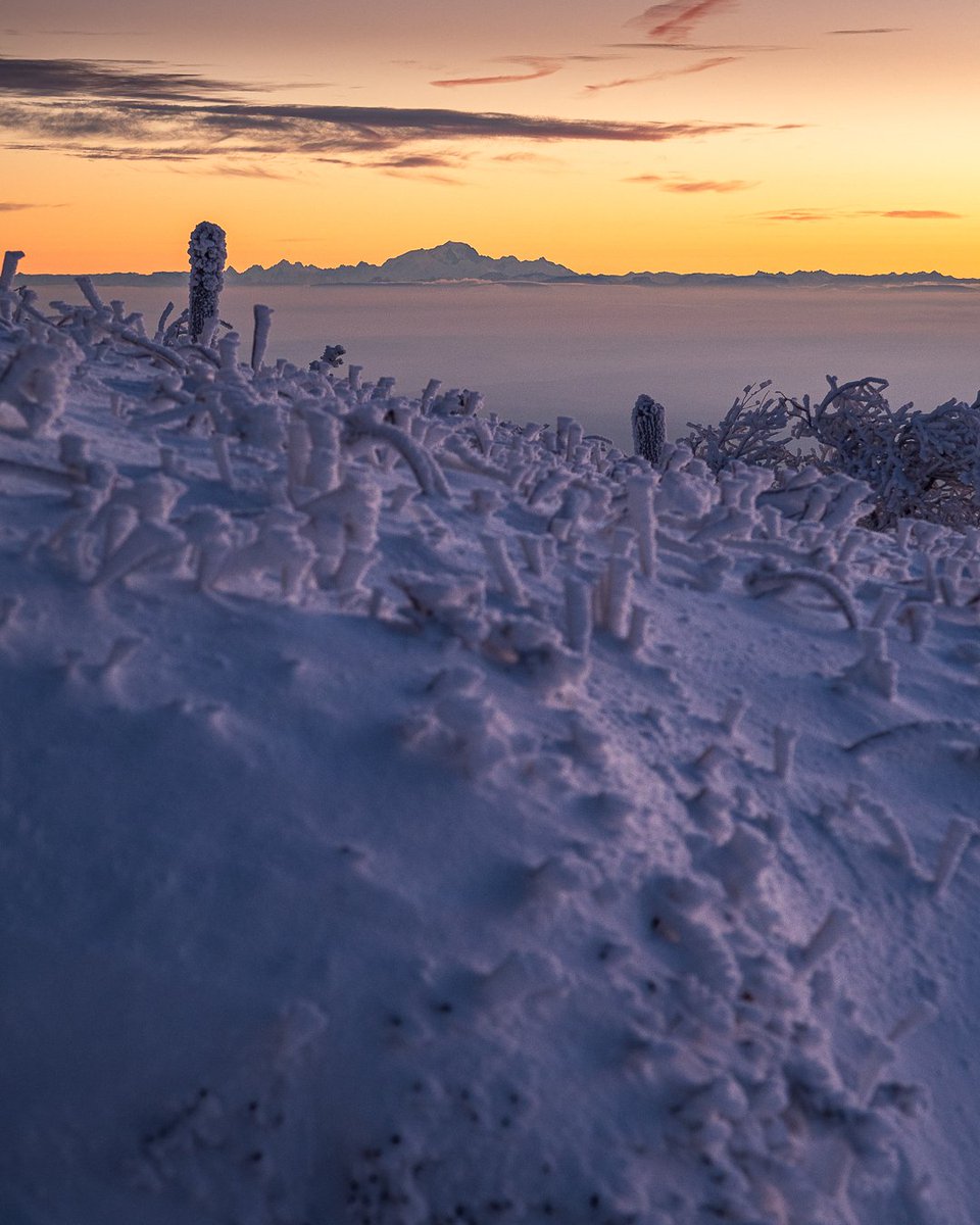 BegotJeremy's tweet image. Il fallait profiter de cette belle mais trop courte offensive #hivernal sur les hauteurs du #Pilat ce week-end.

Le #MontBlanc se dresse fièrement devant un petite mer de nuage. 20cm sur les crêtes #Ligérienne qui sont en danger avec le #redoux en cours 😭

#neige #froid #givre