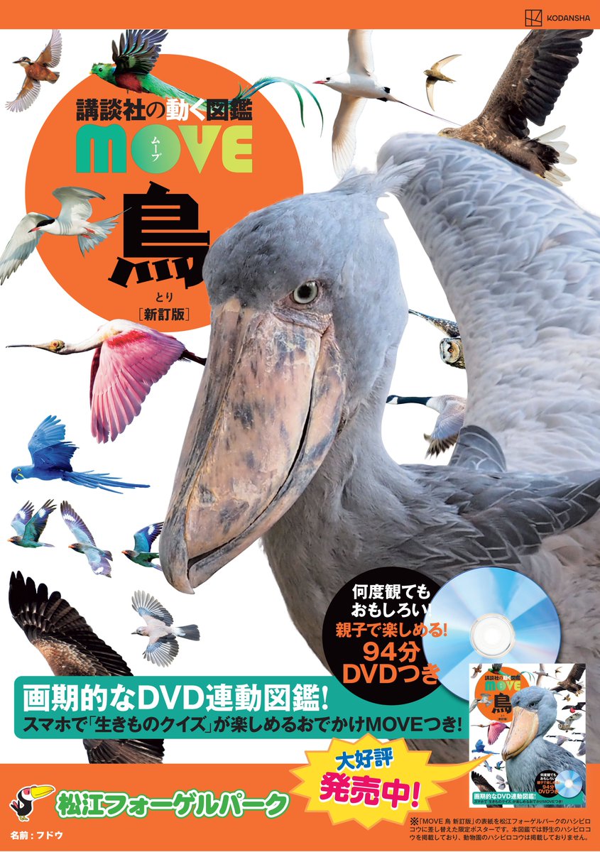 ハシビロコウ　フドウくん　ポスター　B2 在廊日は、明日29日（日）です。 「ハシビロコウとどうぶつ展」 南幅