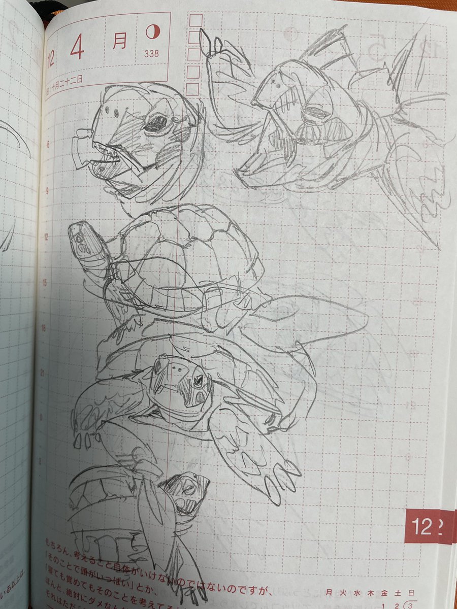 カメスケッチ🐢 