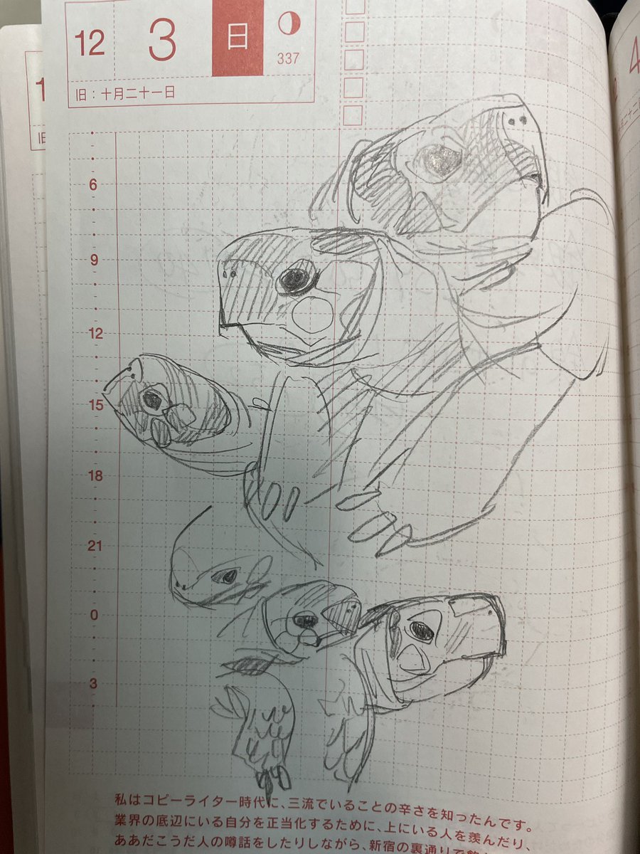 カメスケッチ🐢 