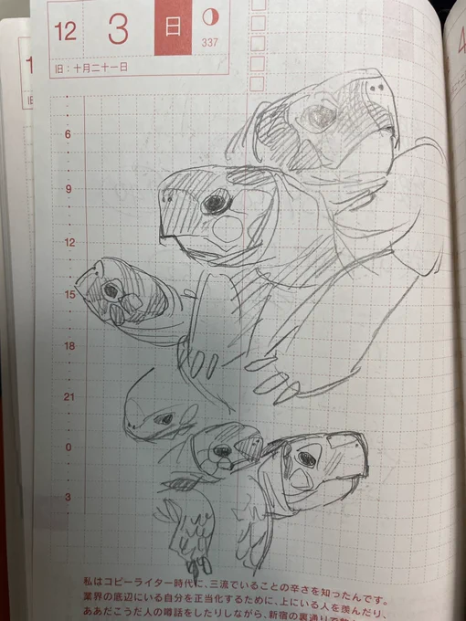 カメスケッチ🐢 