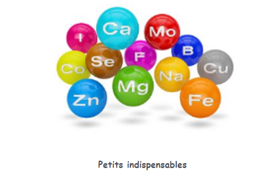 lafeedusud's tweet photo. Pensez à eux, pensez à vous. Suivez la news des Petits indispensables : https://t.co/TEkWAHstOZ
#acoupdelles #newsletter #Sante #oligoéléments https://t.co/iptT9o4FKo