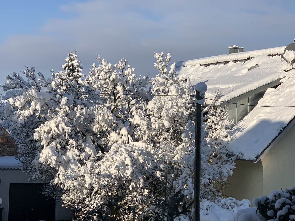 Fastplus_eu's tweet photo. Bei mir schneit es, wie sieht es bei Ihnen aus?
#schnee #augsburg #wsmds #fastplus #schleifmittel #B04BVB #AnneWill #GERFRA https://t.co/IQAR12Mbqk
