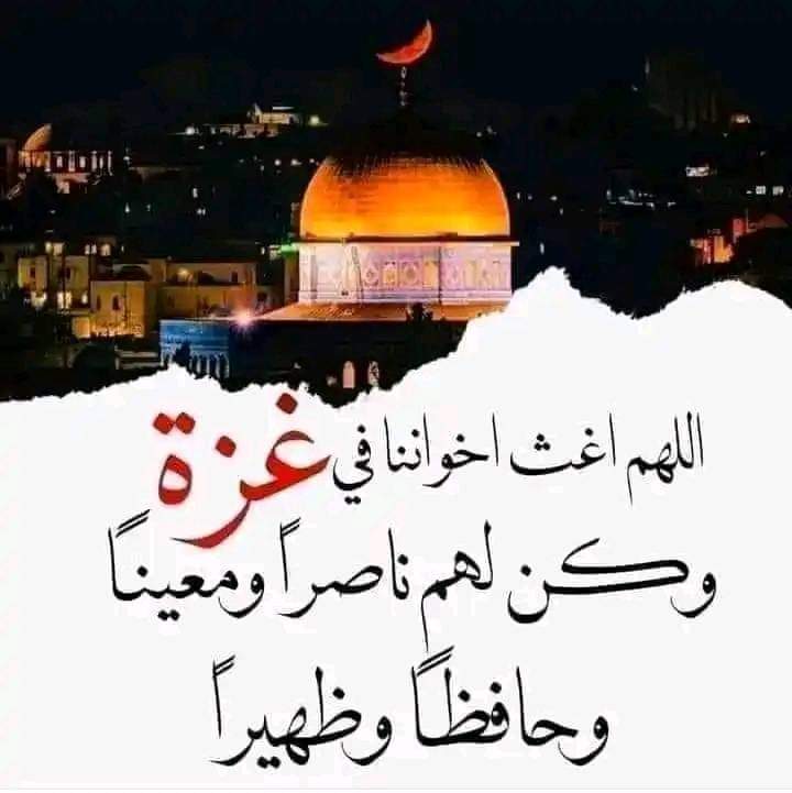 abdou hamed (@abdohamed2018) on Twitter photo 