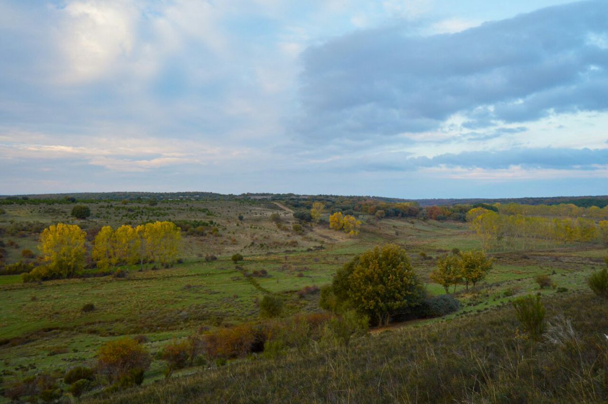 Santi_MBarajas's tweet photo. Los embalses de Rial y Morales que la @chd_duero pretende construir en la provincia de León, producirían un gran impacto ambiental y social, y carecen de utilidad. Sólo beneficiarían a las constructoras que realizasen las obras.
Hay que abandonar definitivamente su construcción. https://t.co/HUvU4cBxsb