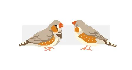 #finch for todays  #pixel_dailies #pixelart #ドット絵