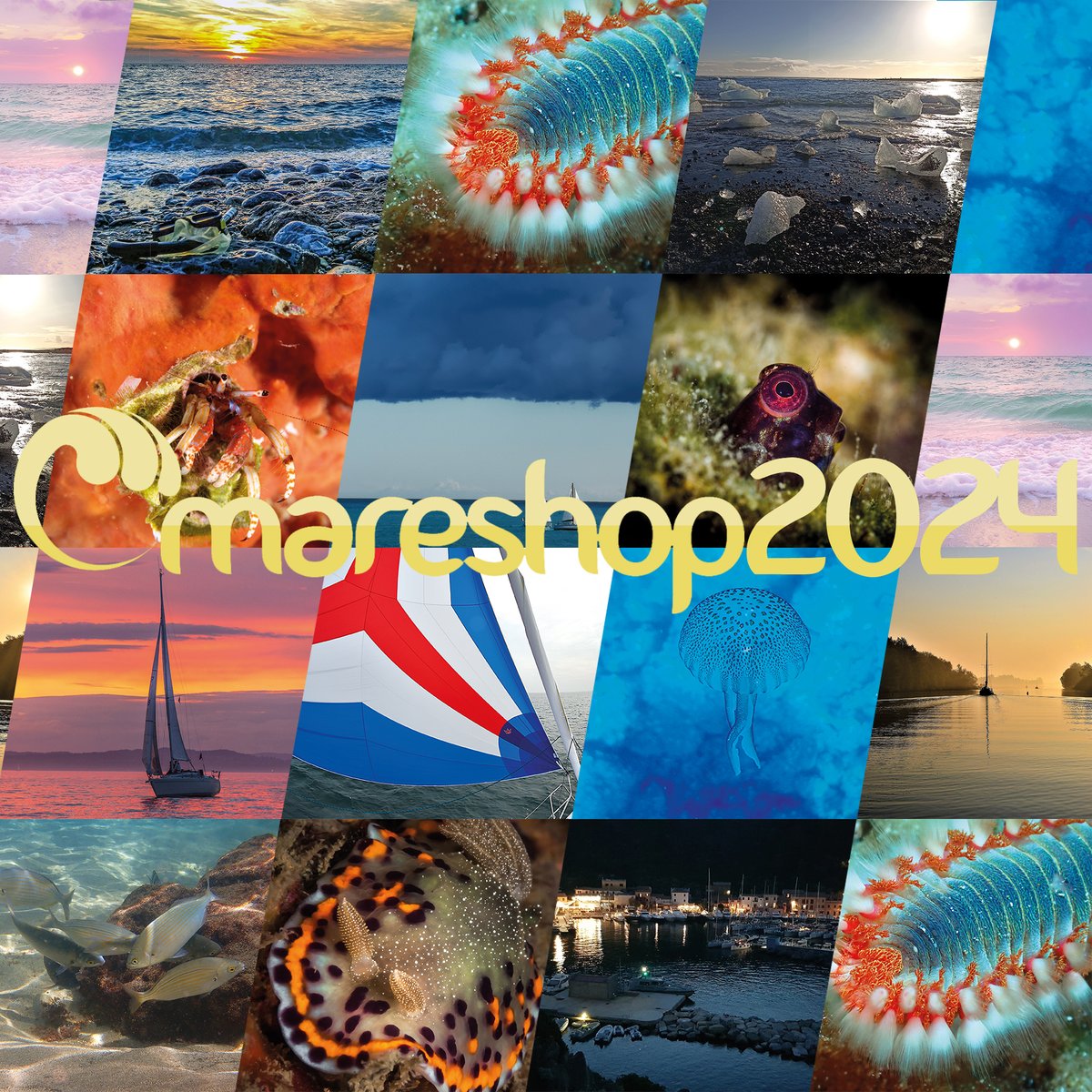 mareshop's tweet photo. Mareshop Calendario 2024: richiedilo gratis - get it for free https://t.co/v2DDrEGzZr