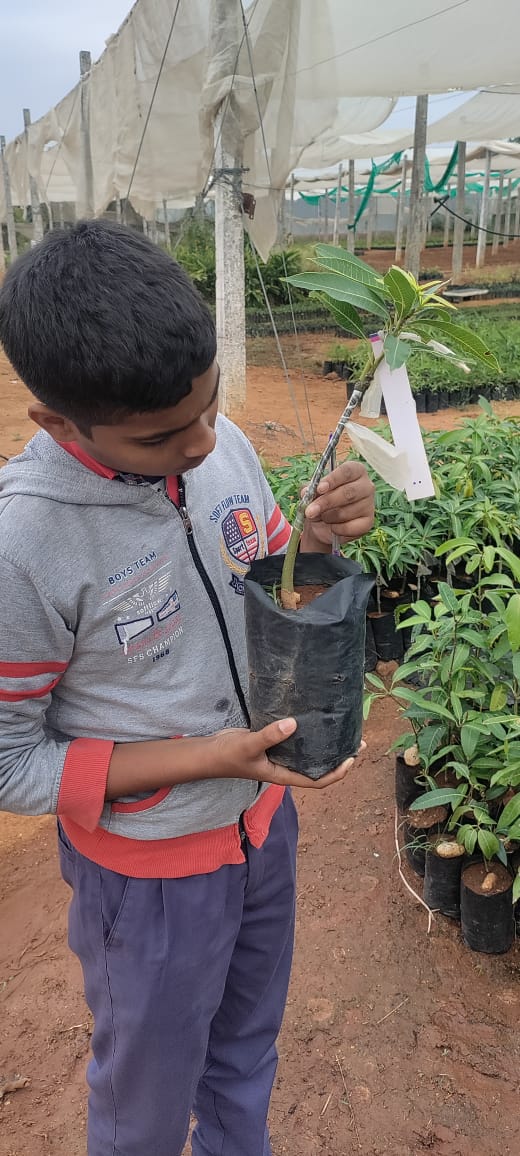 PM SHRI KENDRIYA VIDYALAYA TIRUMALAGIRI tweet media