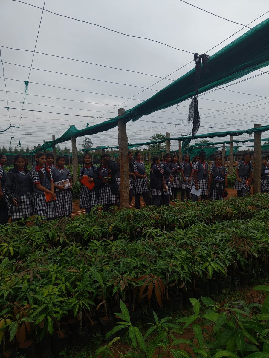 PM SHRI KENDRIYA VIDYALAYA TIRUMALAGIRI tweet media