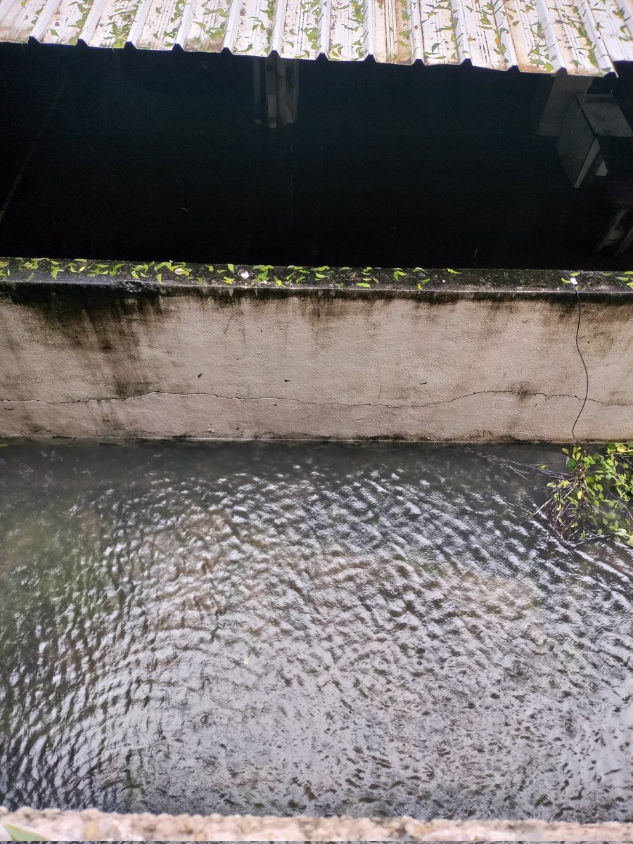 Induja Ragunathan tweet media