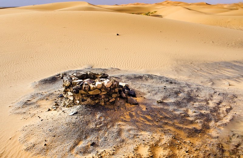 لا السَّيارة جاؤوا من تلقاء أنفسهم، ولا واردهم أدلى دلوه لأنه اختار، ولا العزيز اشتراه لأنه شاء!
كل ما في الأمر أن أولياء الله لا خوف عليهم ولا هم يحزنون.