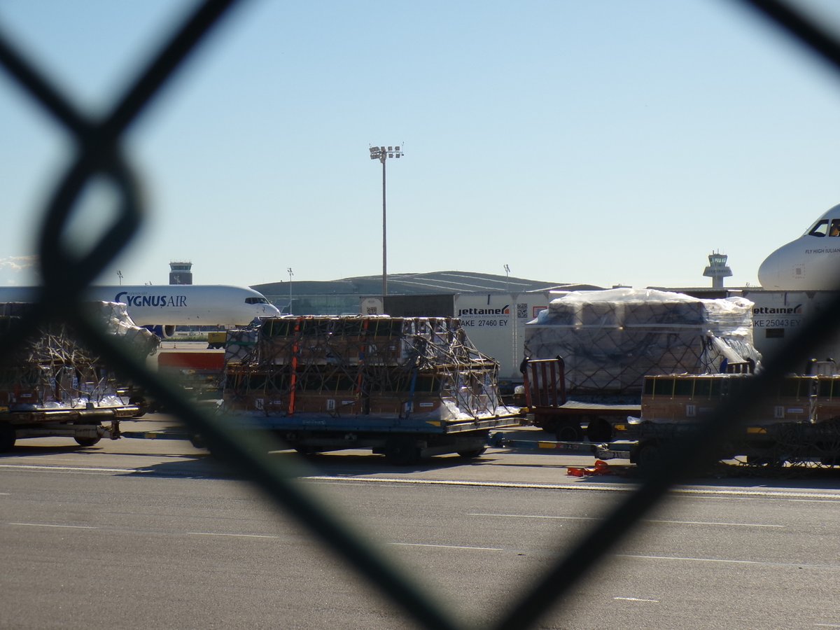 Action4Primates's tweet photo. Happening NOW - Bluebird Nordic is on its way from #Mauritius to the #USA with, we suspect, hundreds of #longtailedmacaques imprisoned on board destined for #monkey testing laboratories. #StopMauritiusMonkeyTrade https://t.co/AHb0g3RrvQ