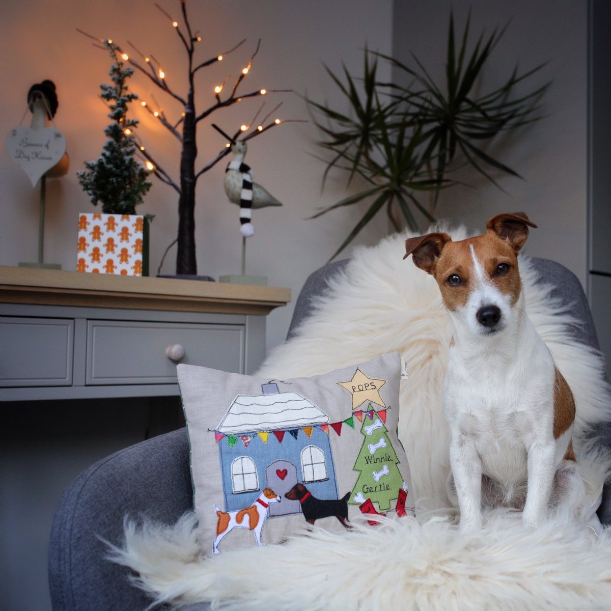 Have you checked out our Christmas Gift Blog yet? It’s packed with festive inspiration for hounds and humans 🎁🎄 This adorable handmade cushion from @MolleCollection is just one of the gorgeous gifts to feature. dotty4paws.co.uk/santa-paws-sto… #EarlyBiz #MHHSBD