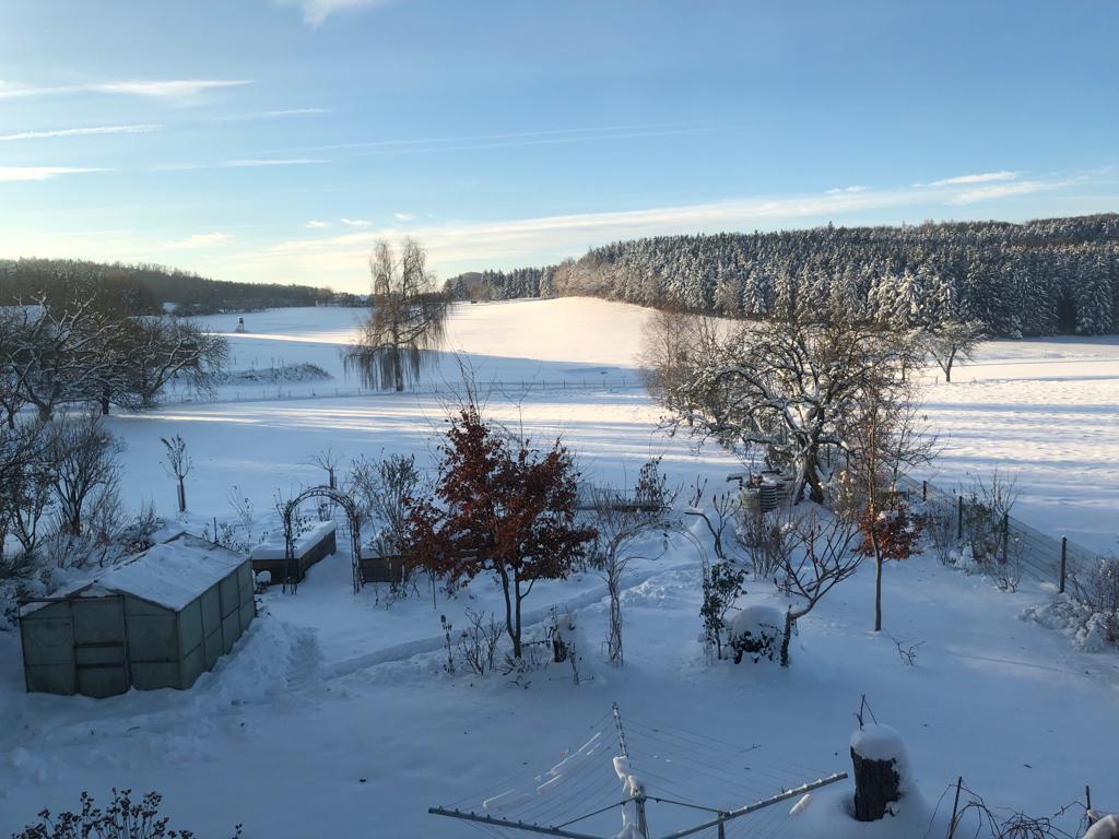 Markus Tiefenbacher tweet media