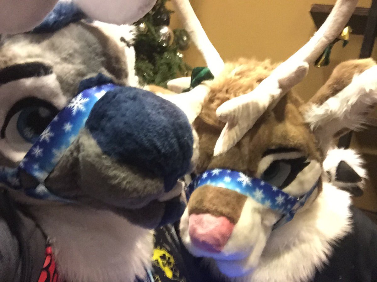 ❄️Aspen the Bou❄️ (they/he) 🏳️‍⚧️Θ∆ 🔜AC tweet media