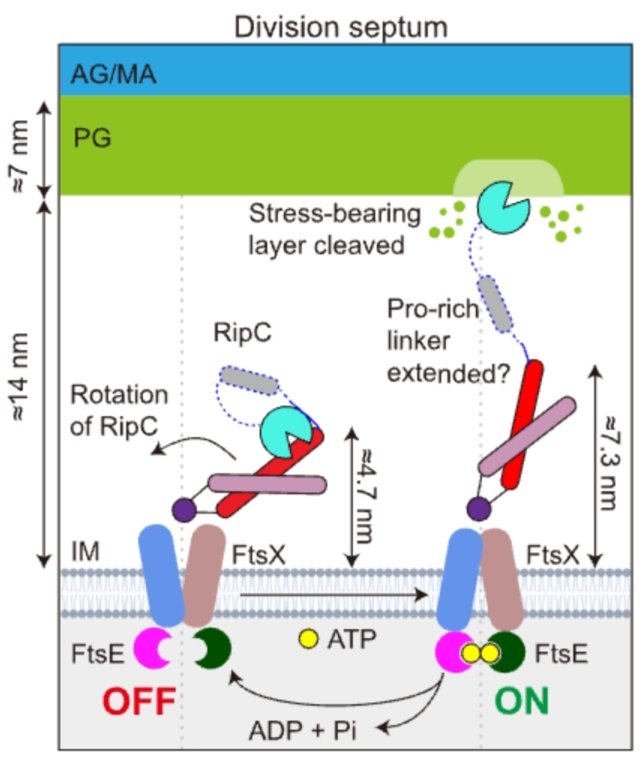 Juan A. Hermoso tweet media