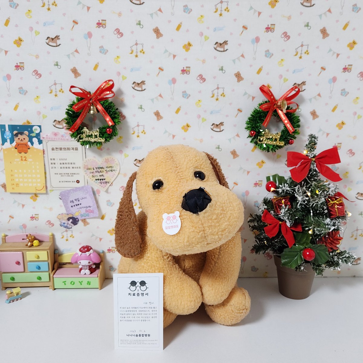 깡이 10년 더 튼튼하게 살 수 있다

진료내용: 솜갈이