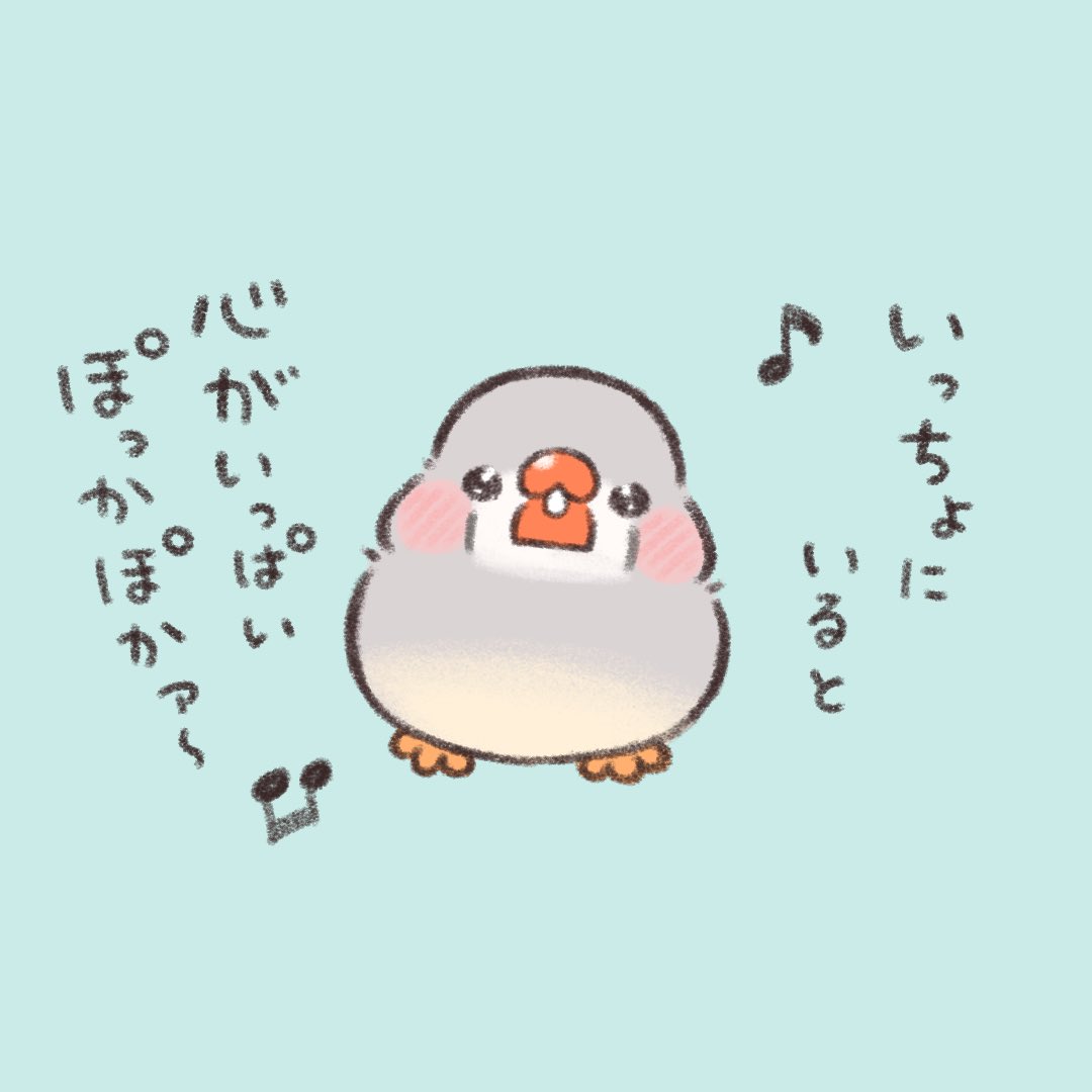 かいぬち、お歌をきいて下さい。  #キンカチョウ