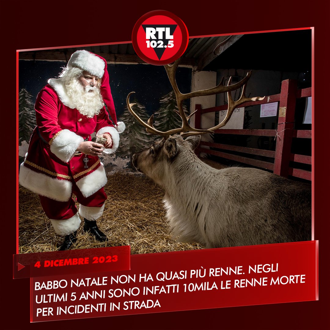 rtl1025's tweet photo. 🔴 Incidenti stradali, mutamento climatico, perdita di habitat: l’allevamento dei #cervidi vive un momento di #crisi. Gli incidenti stradali sono soltanto una delle minacce alla sopravvivenza di uno degli animali simbolo delle foreste boreali di #Norvegia, #Svezia e #Finlandia. https://t.co/ii8wDYAkx8
