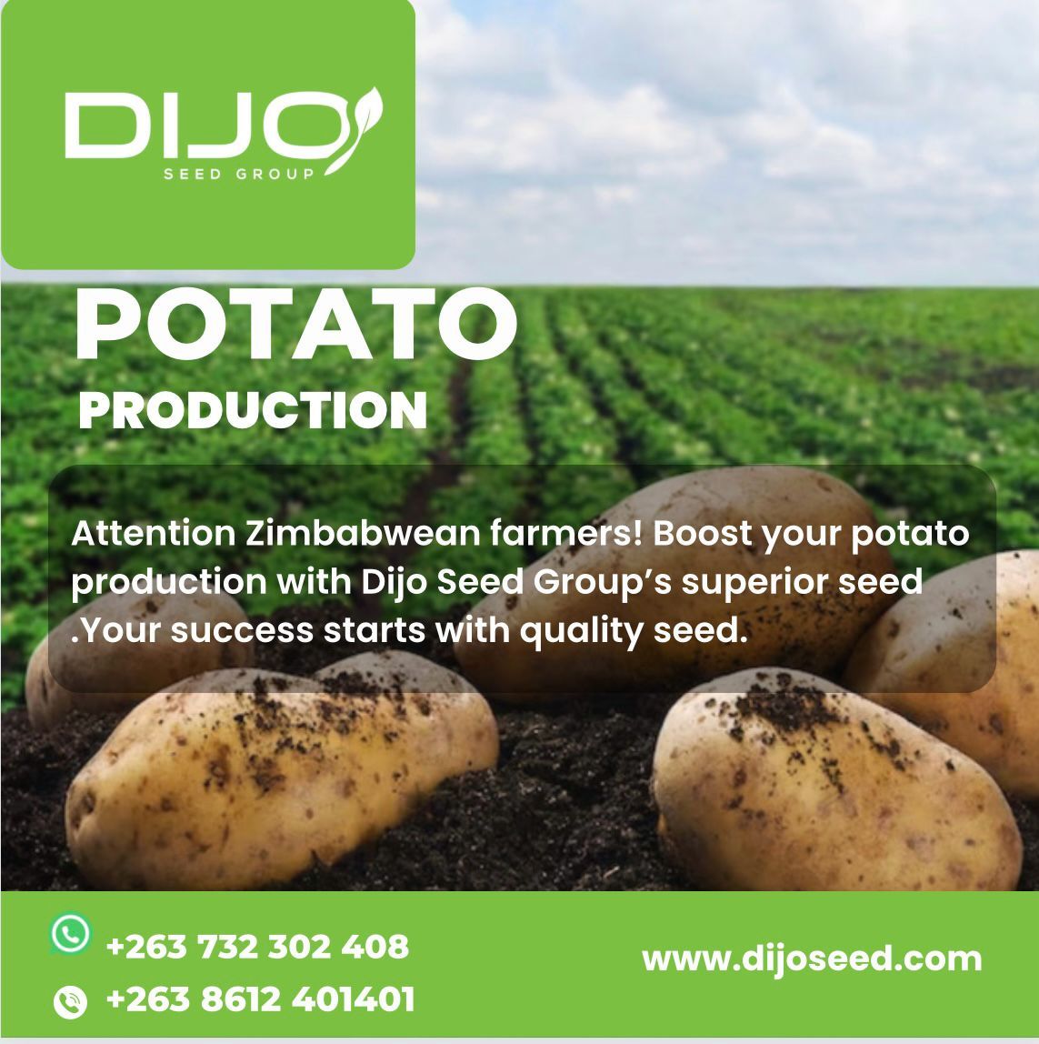 Attention Zimbabwean farmers! Boost your potato production with Dijo Seed Group's superior seed. Your success starts with quality seed. Selling quality seed potato across Southern Africa.#PotatoProduction #DijoSeedGroup