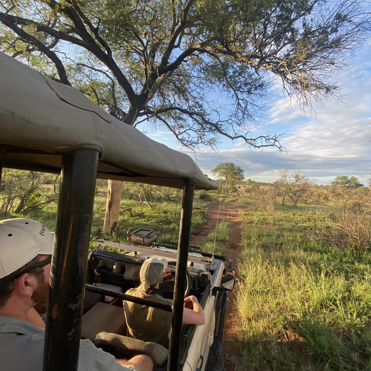 EcoTraining's tweet image. The ULTIMATE Bush learning experience! 🦁🍃🦉

Enrol now in EcoTraining’s Field Guide ONE course.

📅 Course date: 3 January - 26 February 2024

E-mail enquiries@ecotraining.co.za to book NOW or visit:👉ecotraining.co.za/courses-experi…👈

#EcoTraining #fgasa #fieldguide