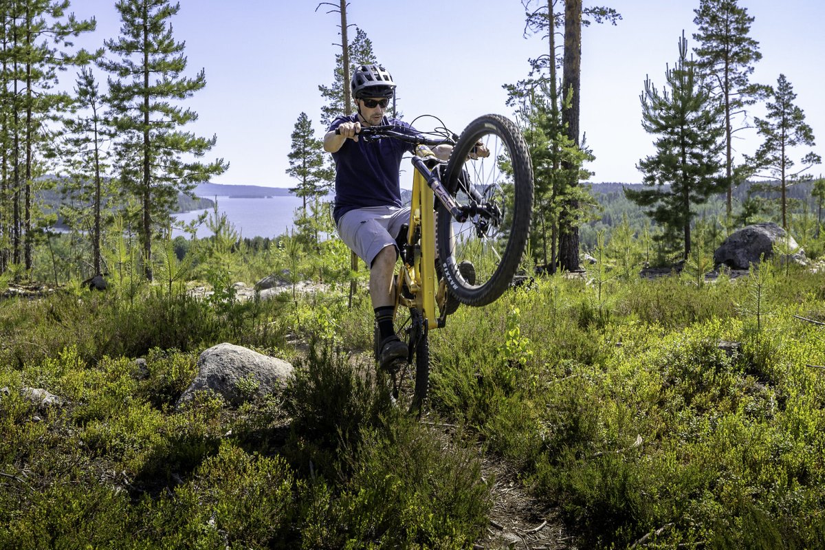 Pole Bicycles Co. tweet media