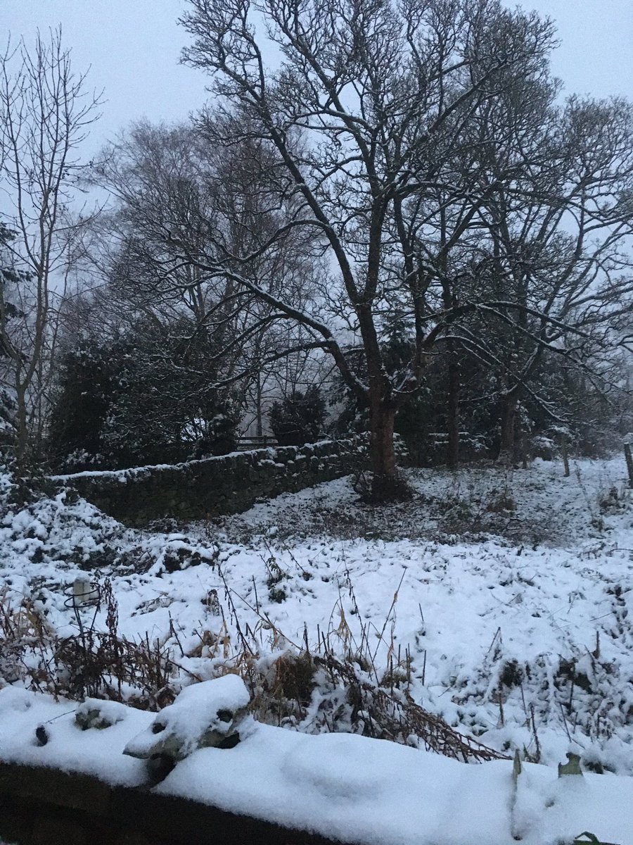 Let it snow⛄️🦡