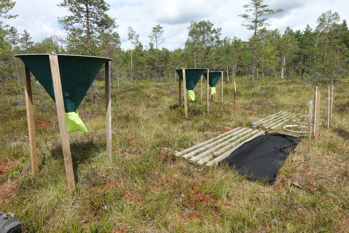 LIFE Peat Carbon (@LIFEPeatCarbon) / Posts / X