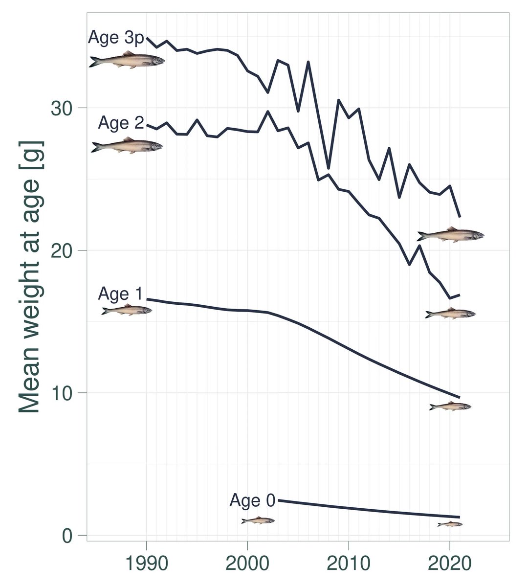 Guillem Chust tweet media