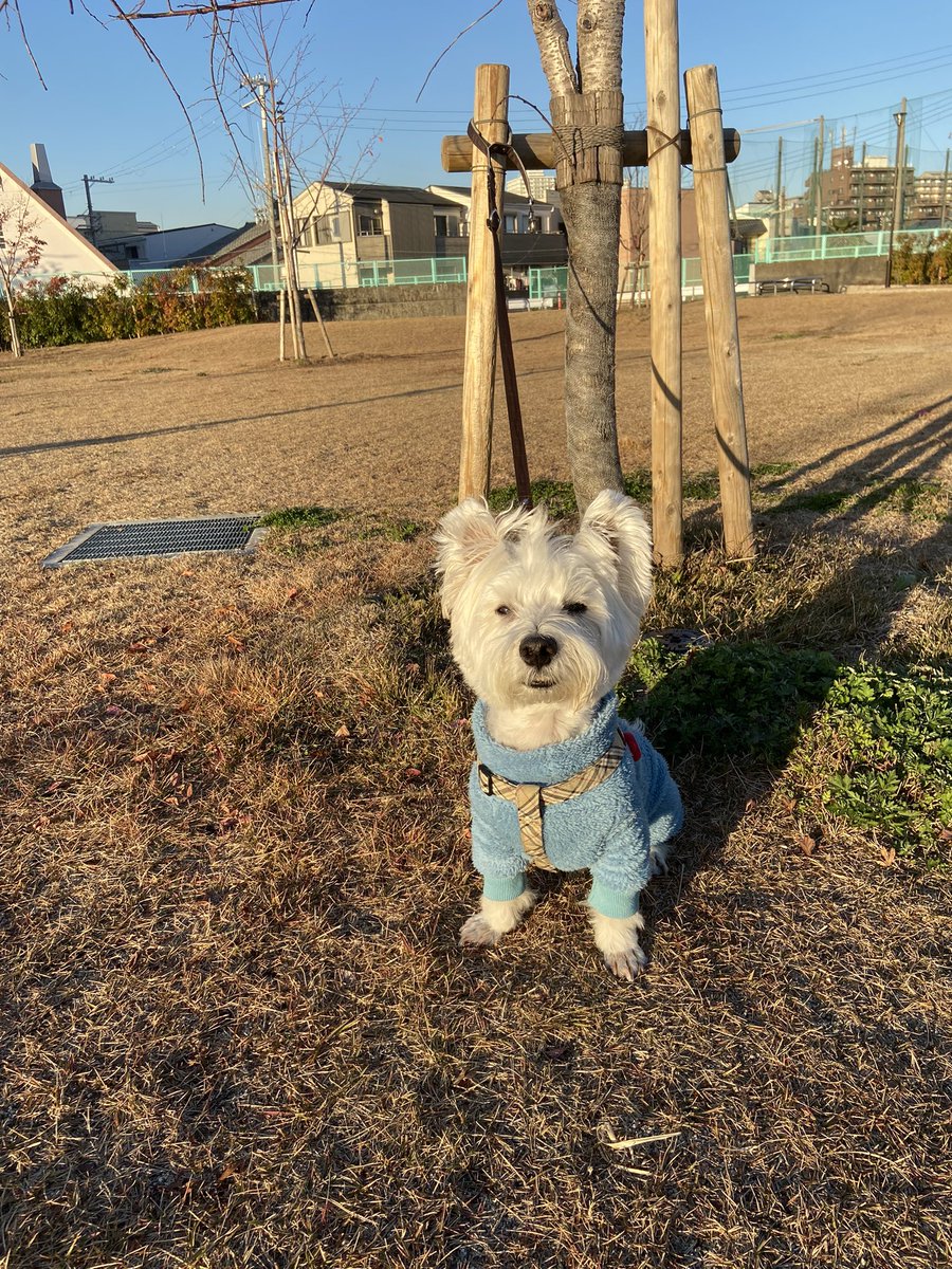 無事に8歳のお誕生日を迎えることが出来ました🎂
これからも一日一日大事に頑張ろうね💕︎