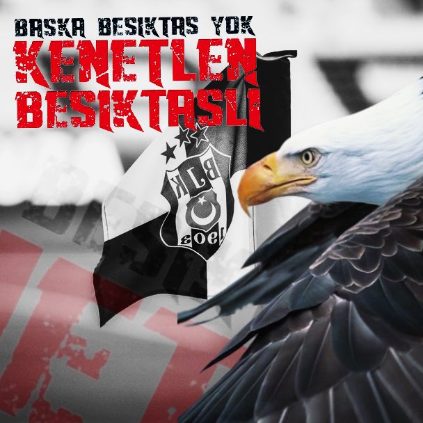 KENETLENME ZAMANI 🦅