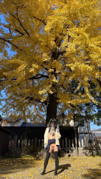 紅葉の露撮が流行りな様で撮って来ました。 風が無くて天気が良かったのでなんとか頑張れました！ 寒いの嫌い！😂 https://t.co/N9n0ta719t<a href="/tag/%E3%82%A8%E3%83%AD%E3%82%B3%E3%82%B9%E3%83%97%E3%83%AC"class="tags"><span>#エロコスプレ</span></a><a href="/tag/%E7%A7%91%E5%AD%A6%E7%9A%84%E3%81%AB%E5%AD%98%E5%9C%A8%E3%81%97%E3%81%86%E3%82%8B%E3%82%AF%E3%83%AA%E3%83%BC%E3%83%81%E3%83%A3%E3%83%BC%E5%A8%98%E3%81%AE%E8%A6%B3%E5%AF%9F%E6%97%A5%E8%AA%8C"class="tags"><span>#科学的に存在しうるクリーチャー娘の観察日誌</span></a>