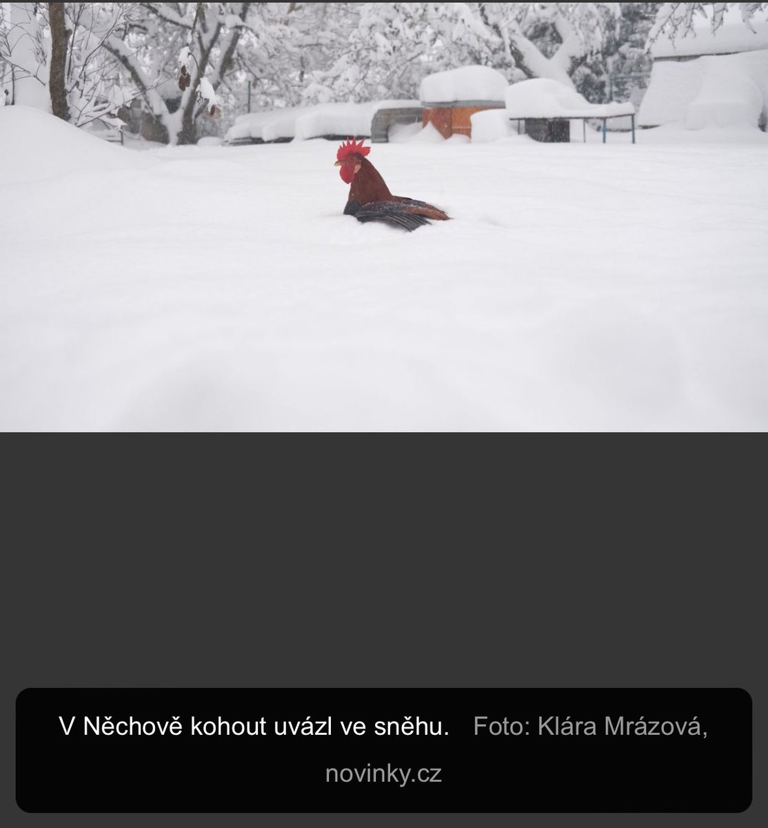 durdenovodevce's tweet photo. jedine relevantni zpravy https://t.co/amsFSbeXlS