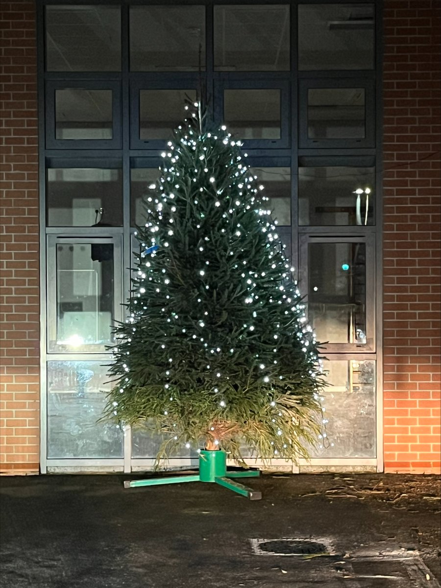 It’s beginning to look a lot like Christmas. 🎄

Thank you very much to Rose and Nancy’s family at Cadeby Tree Trust, for donating our beautiful tree again this year.
cadebytreetrust.co.uk