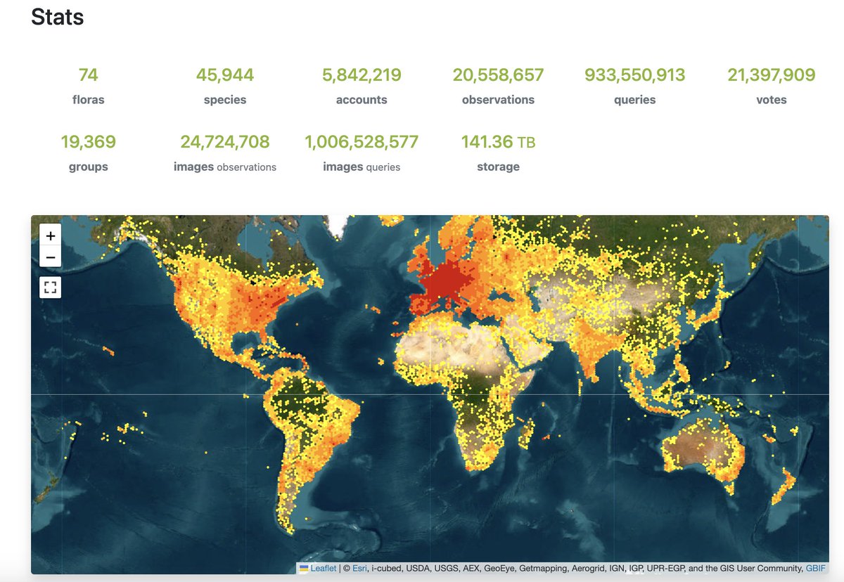 Nous venons de dépasser le milliard d'images collectées via <a href="/PlantNetProject/">PlantNet</a> ! Seule une petite partie, cependant, est finalement partagée avec les chercheurs du monde entier. Lisez la suite pour comprendre pourquoi et améliorer vos contributions.