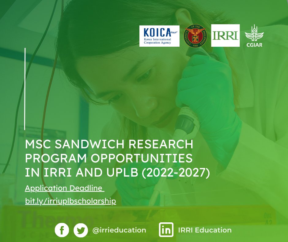 IRRI Education tweet media