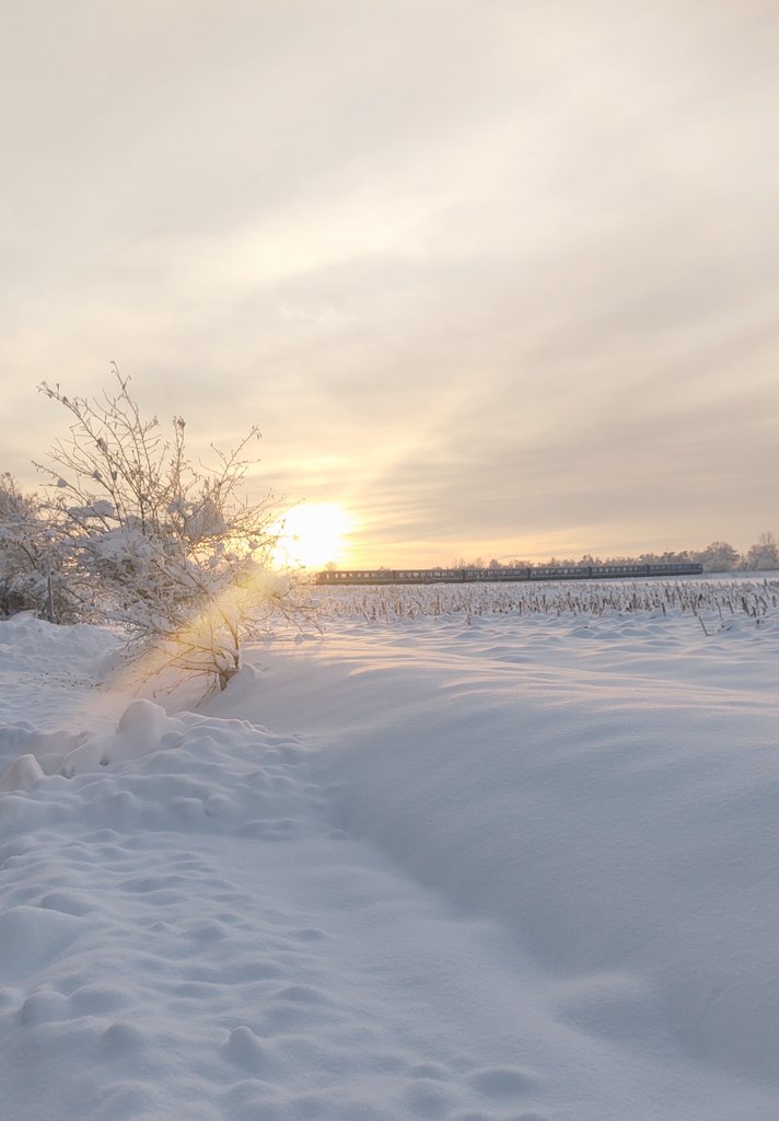 blechdosenfee's tweet photo. Morgens, Viertel nach 8. Minus 14 Grad. 
#montag #bayern #schnee #winter https://t.co/BgrI7OVzX8