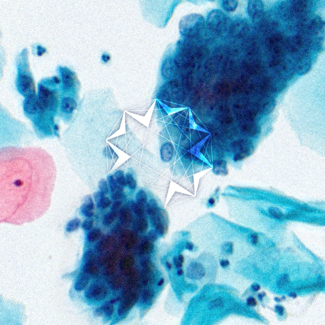 Our R&amp;D Team is recognized in "Computational Pathology" for exploring AI integration research, addressing significant clinical challenges in the medical domain. Link to the article: 🔗bit.ly/3Ywmo7d 📷Computational Pathology: A Survey Review and The Way Forward