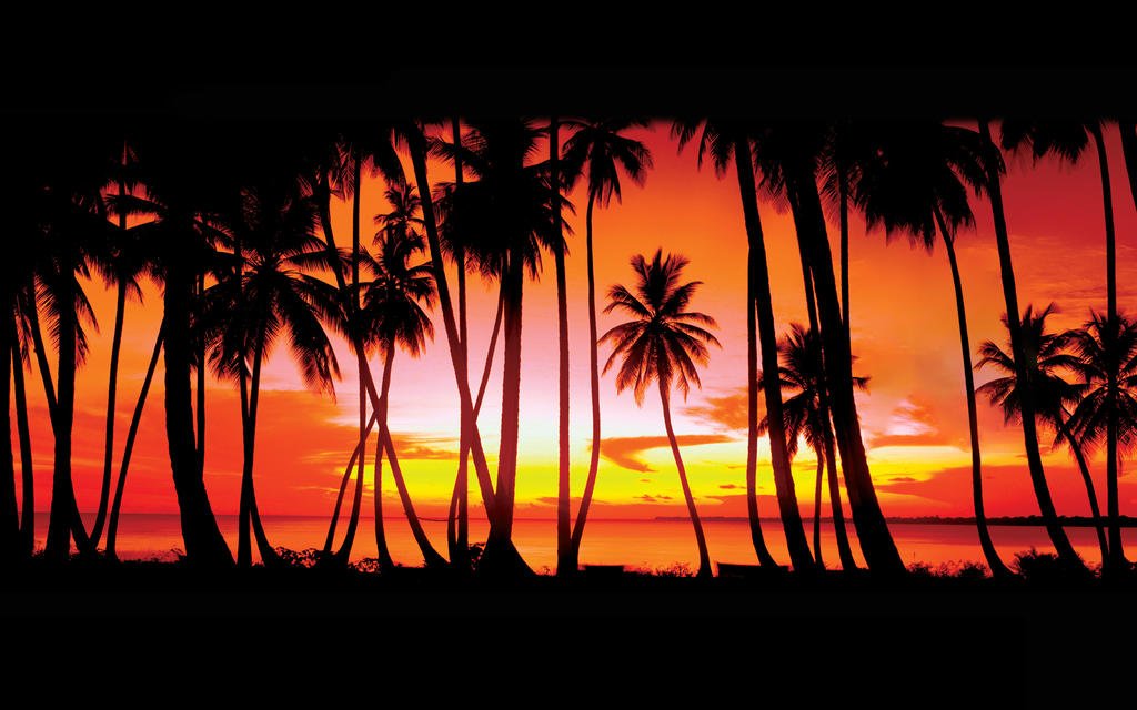 GTA Direct tweet media