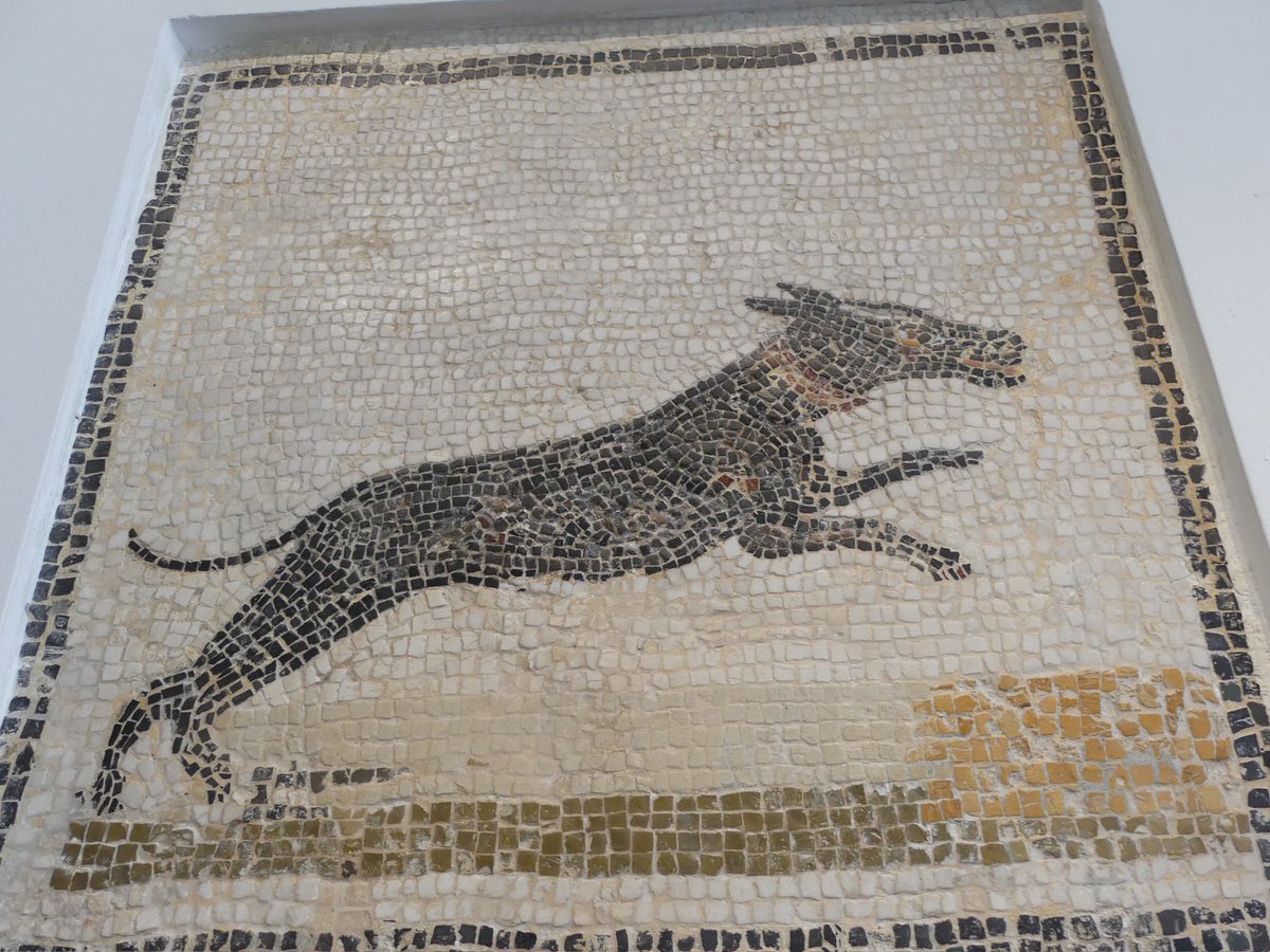 Duncan Dine tweet media